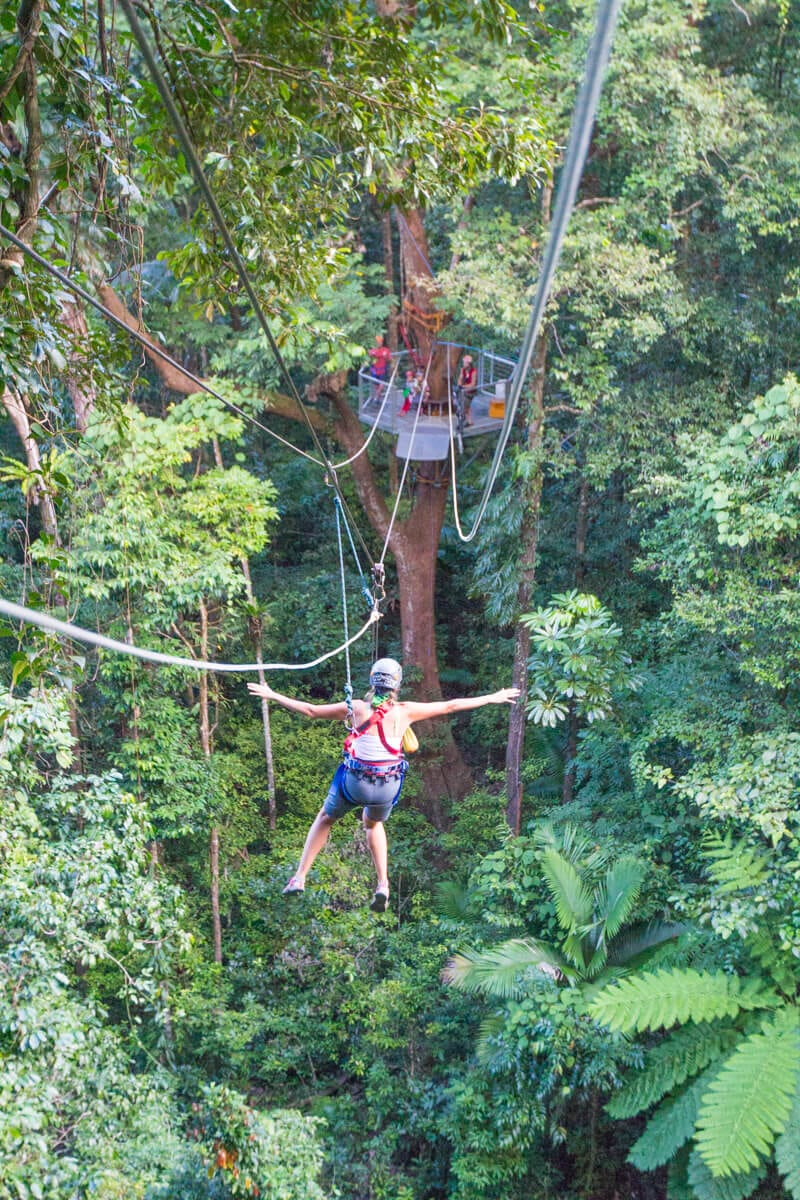 Jungle Surfing (zip lining) in the Daintree Rainforest of Queensland, Australia