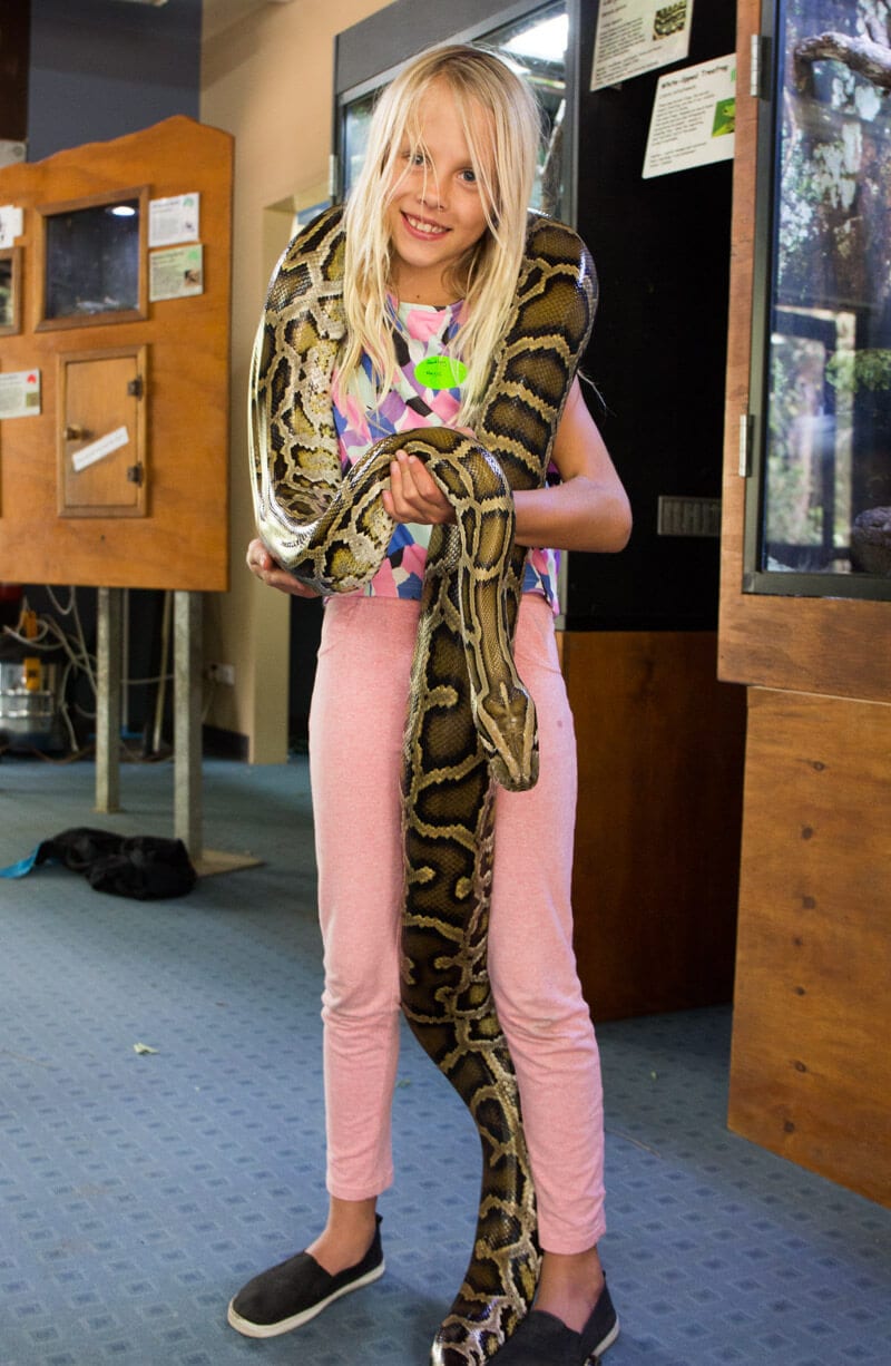 girl holding a Burmese python at Hartley's Crocodile Adventures in Port Douglas, Queensland, Australia