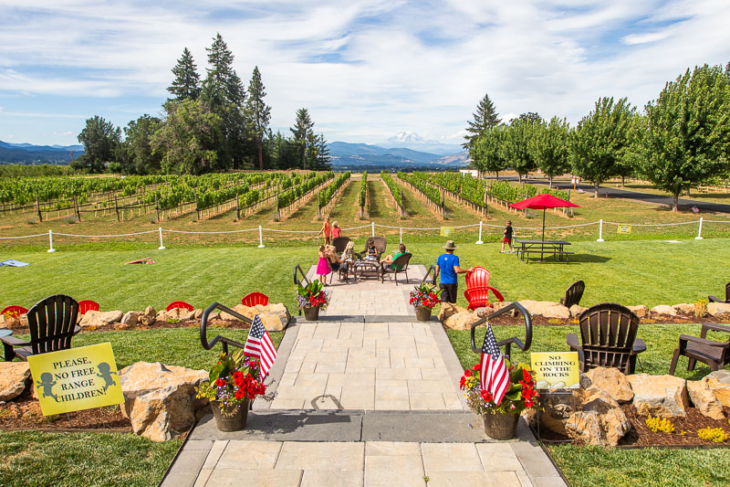 views over vineyard from wine tasting patio