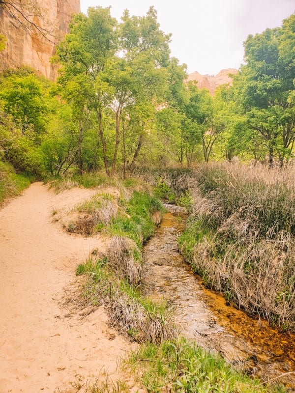 sandy trail beside creek on the lower calf creek falls trail