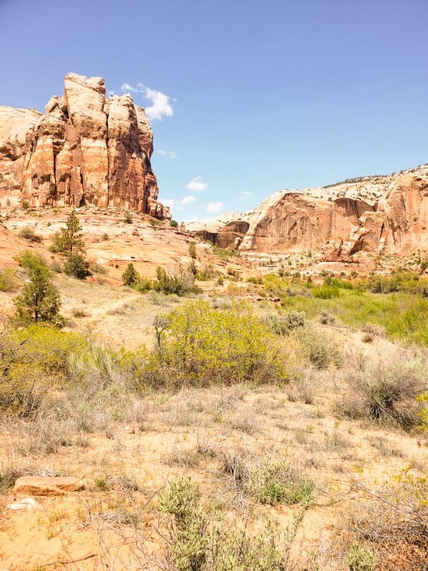 landscape along the lower calf creek falls trail