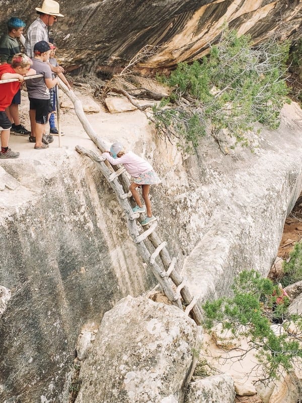 girl climbing up ladder on the natural bridges national monument Sipapu bridge hike (2)