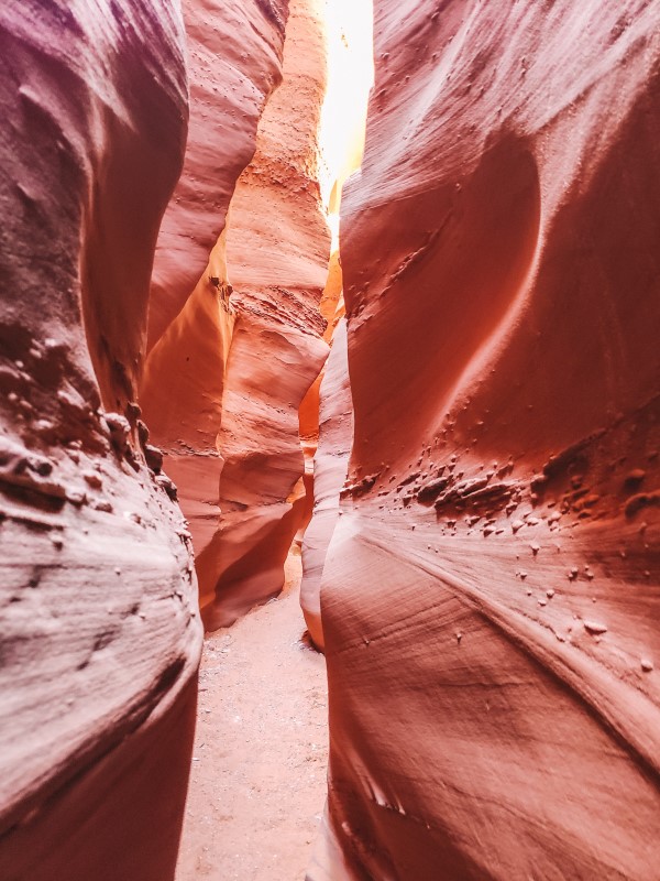 wavy walls of narrow slot canyon