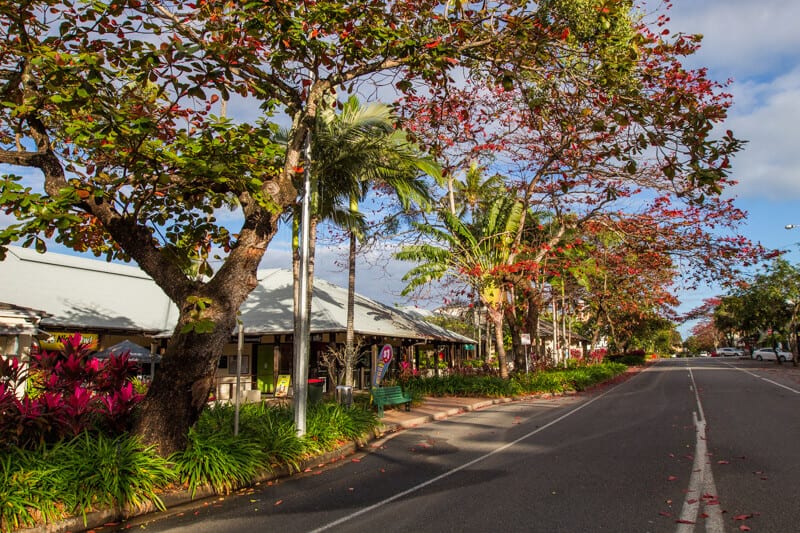 Colorful and vibrant Macrossan Street in Port Douglas, Queensland