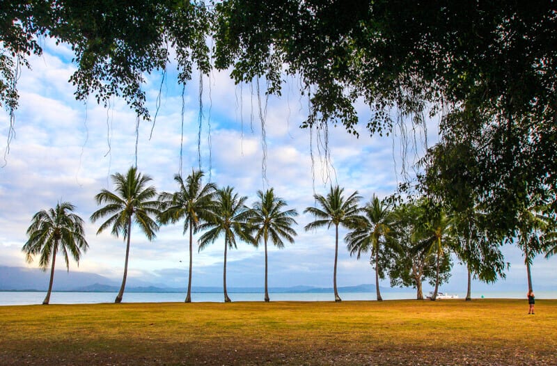 sunrise and palm trees at rex smeal park