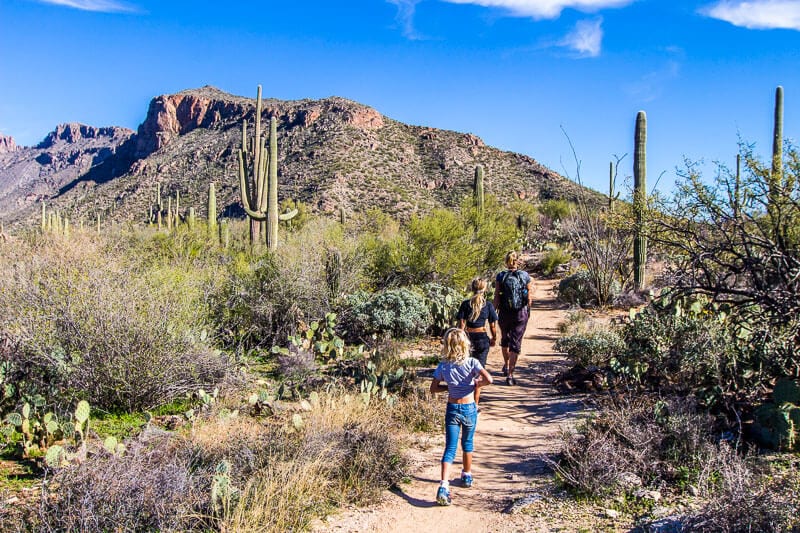 family on Sabino Canyon hiking trails