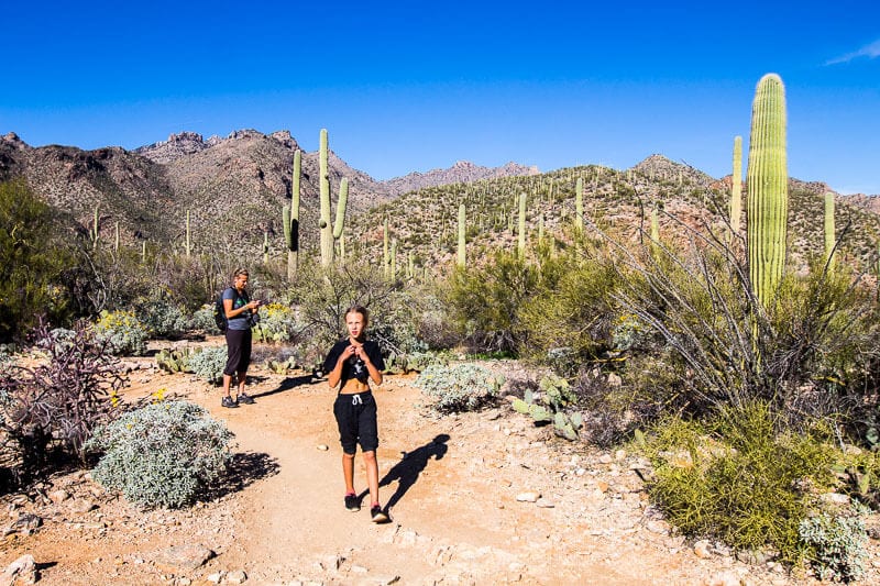 people walking on a hiking trail next to cacti