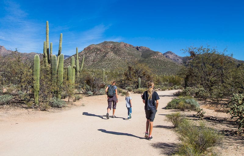 family walking on the trail in Sabino Canyon Tucson