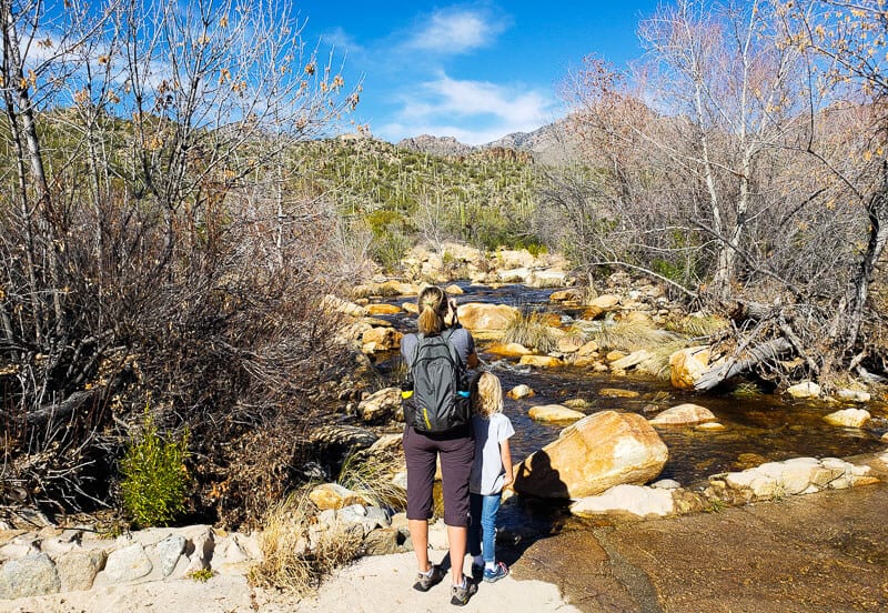 woman and child looking at view in Sabino Canyon 