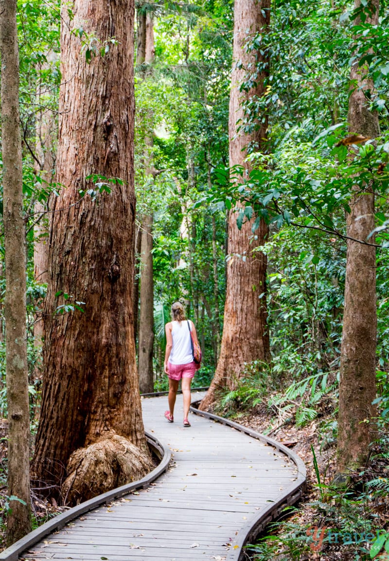 woman walking on a path through a forest