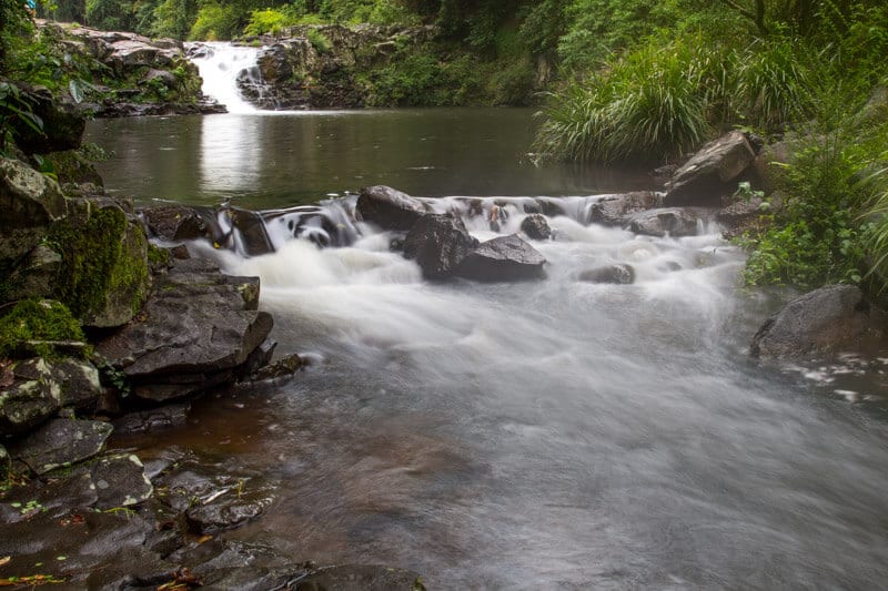 Gardner Falls, Sunshine Coast, Queensland