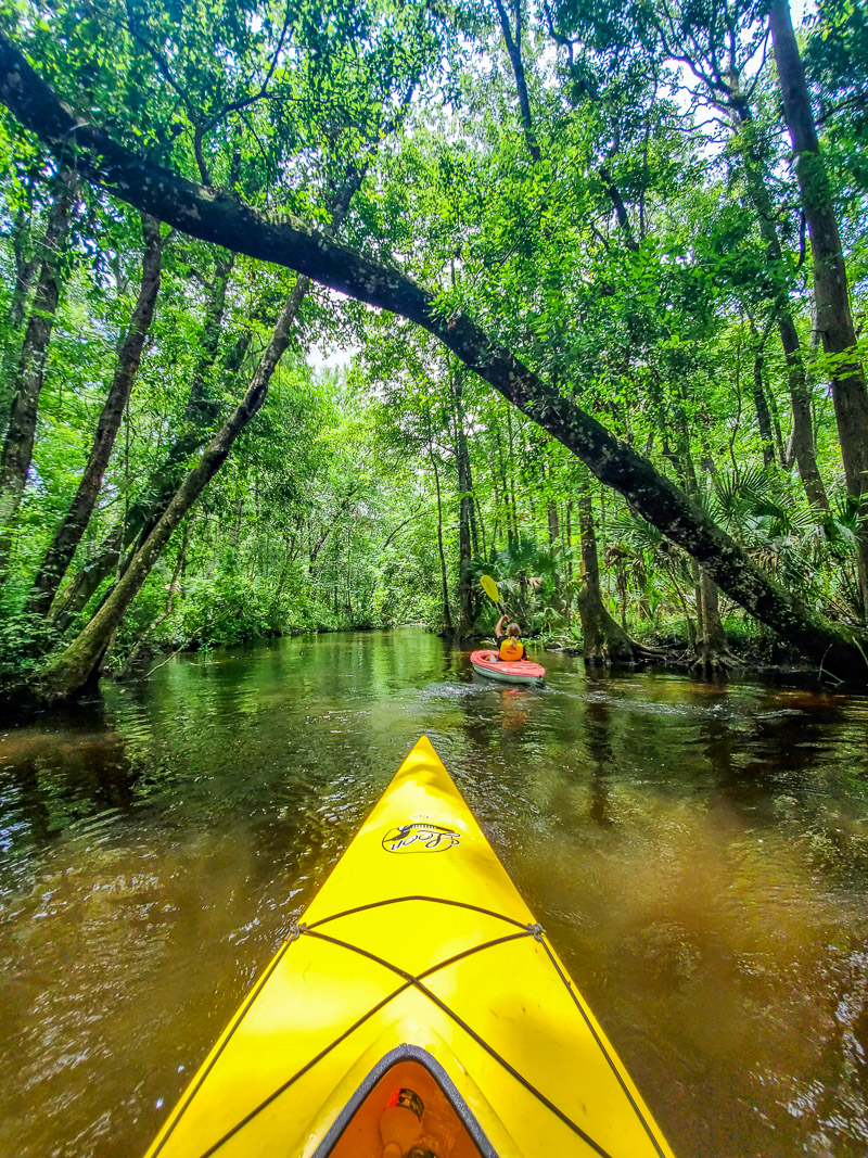 kayaks in a river