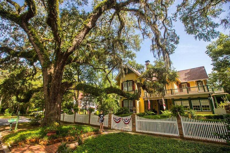 Avera-Clarke House with live oak tree in front