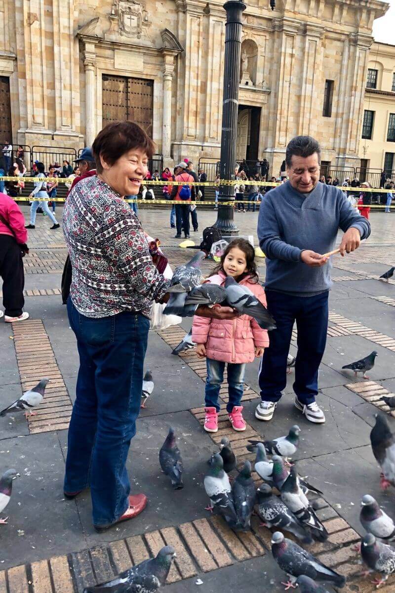 woman with pigeons sitting on her hand in square