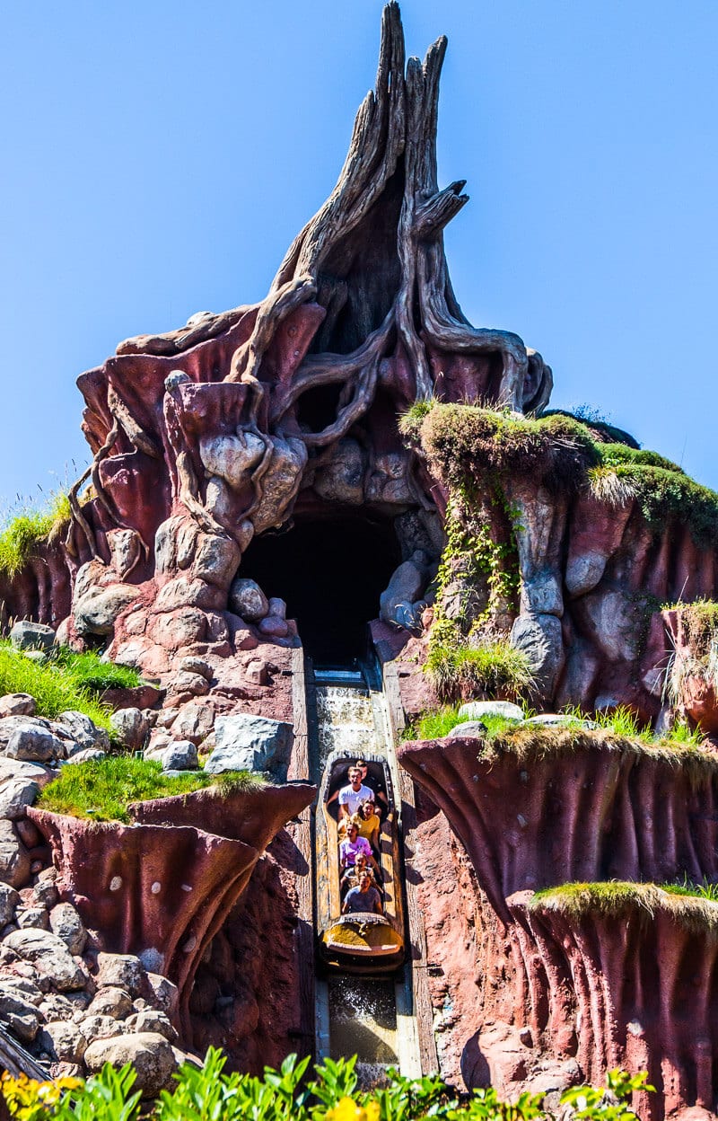 log coming down the water on Splash Mountain, Disneyland, California Park