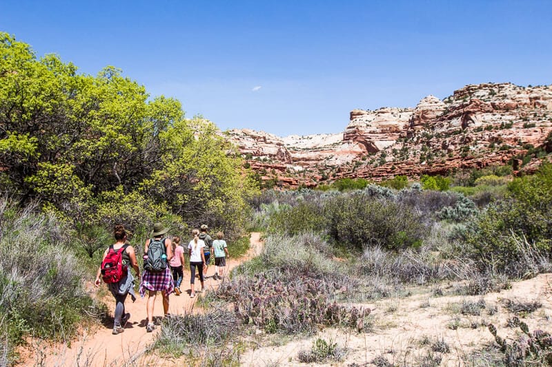 group of people hiking in Lower Creek Calf Falls