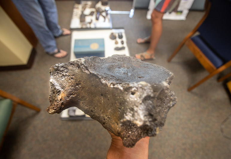 man holding mastadon bone