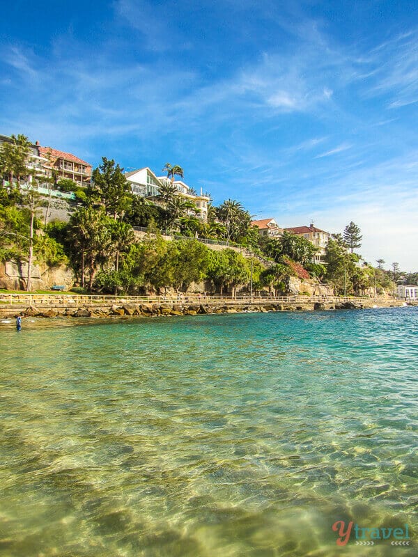 homes on the cliff at shelley beach manly