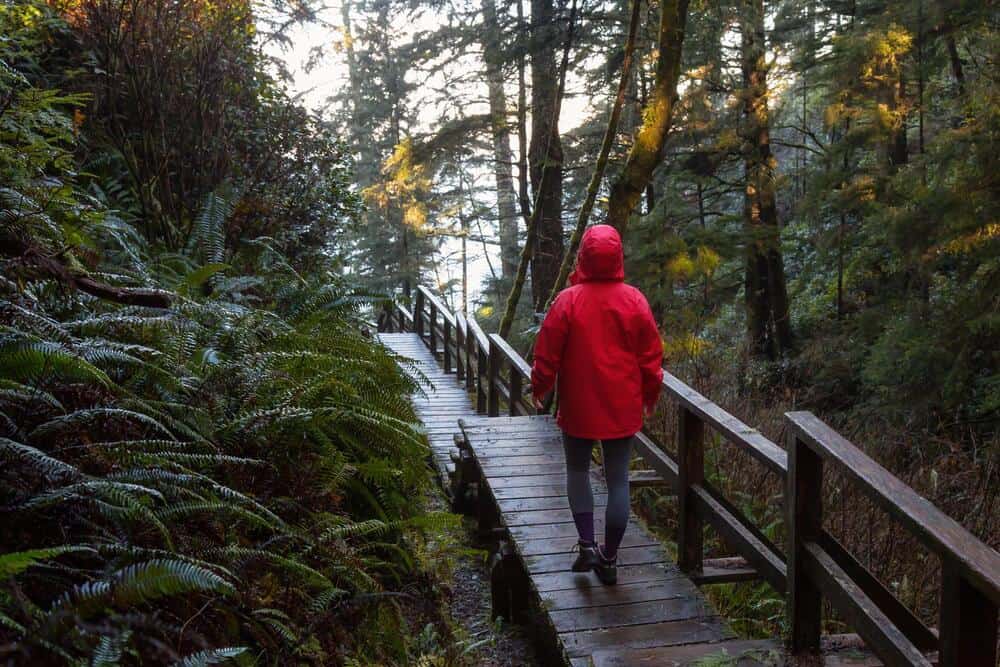 Girl wearing a bright red jacket is walking the the beautiful woods during a vibrant winter morning. Taken in Ucluelet, Vancouver Island, BC, Canada.