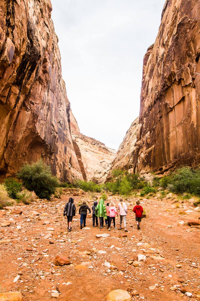 group of kids walking through canyon on Capitol Gorge Trail 