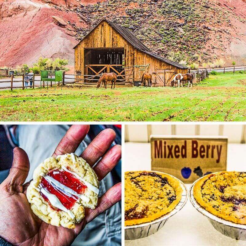 store with food in Capitol Reef NP