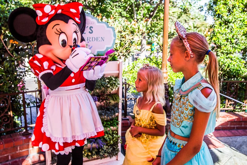 Meeting Minnie Mouse signing autograph book for kids