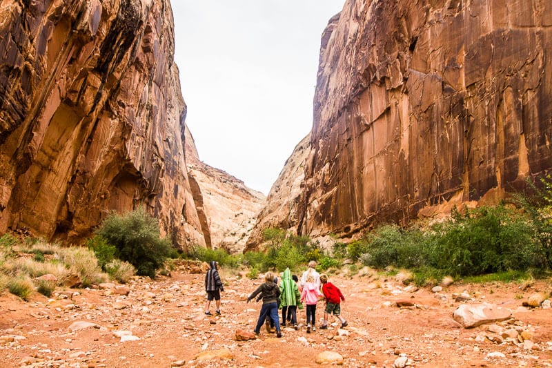 people hiking on Grand Wash Trail