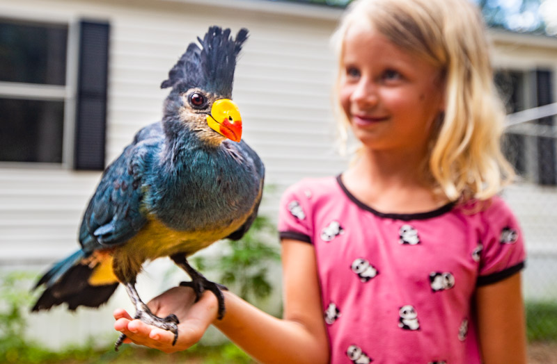 young girl holding bird in hand