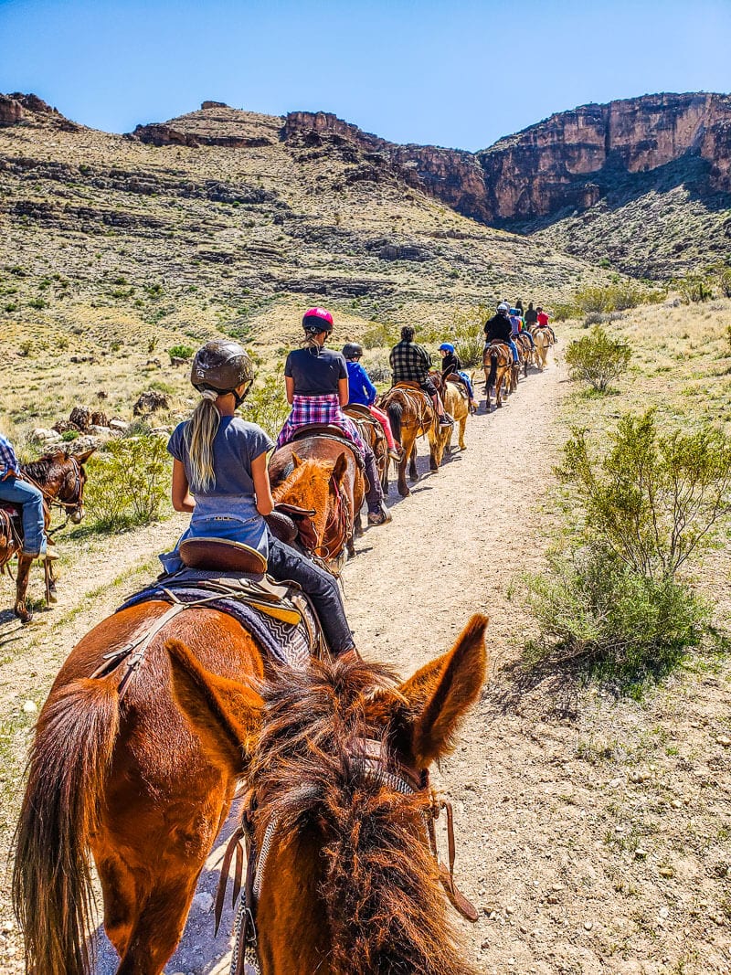 line of people Horse Riding  in Red Rock Canyon