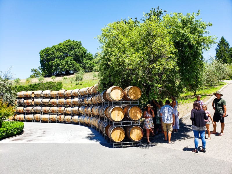 wine barrelts at Alexander Valley Vineyards