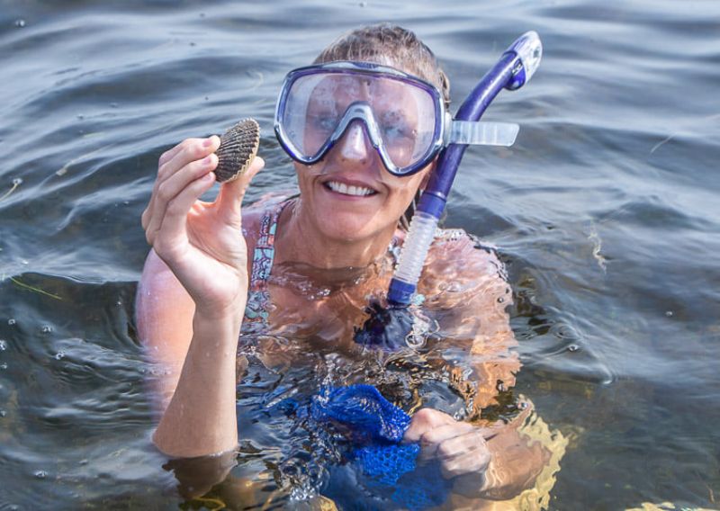 woman in ocean with snorkel on holding wild scallop 