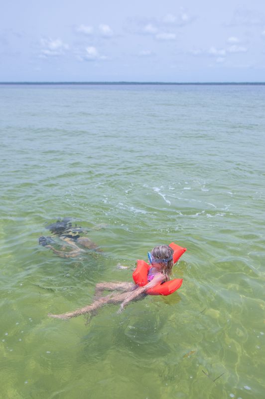 people snorkeling 