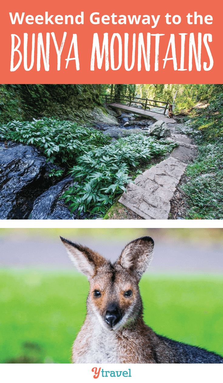 Plan a lovely weekend Getaway to the Bunya Mountains in Queensland.