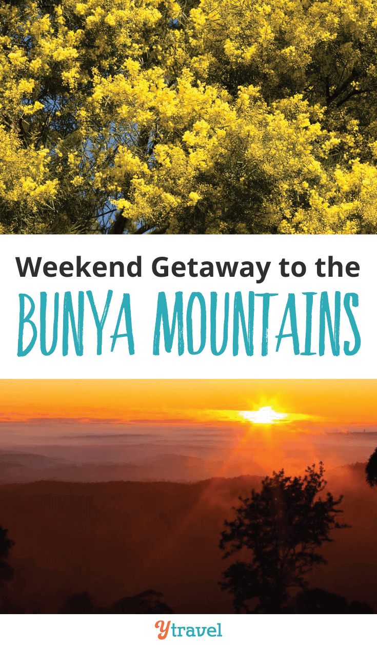 Plan a lovely weekend Getaway to the Bunya Mountains in Queensland.