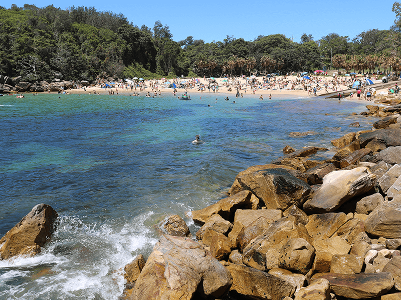 a rocky beach