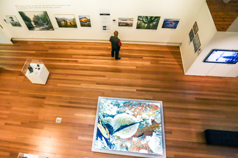 people looking at art work at the queen victoria museum and art gallery