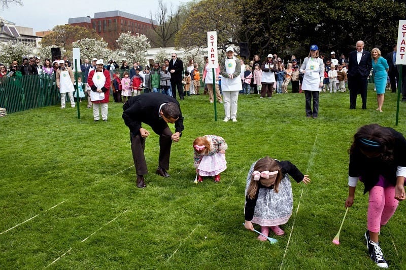 people playing games in a grass field