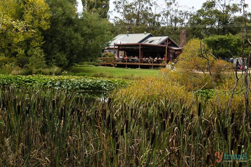 Raspberry Farm Launceston Tasmania