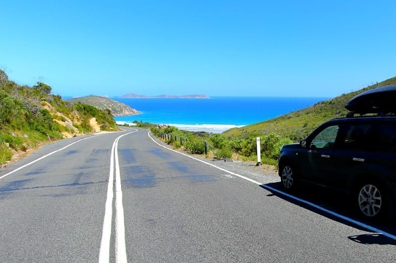 can on road into Wilsons Promontory, Victoria, Australia