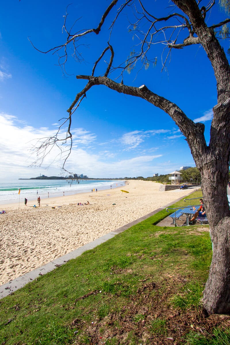 Mooloolaba Beach framed by at ree