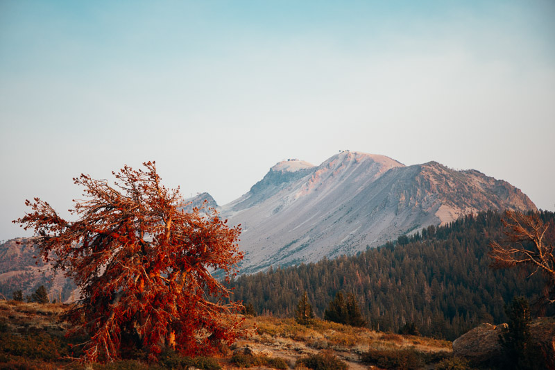 Mammoth Laes and Mammoth Mountain 