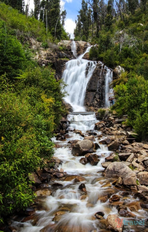 Steavenson Falls, Marysville, Victoria