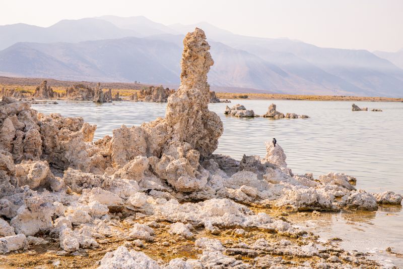 tuftas of Mono Lake California