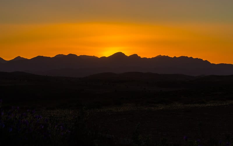 An orange sunset in the background