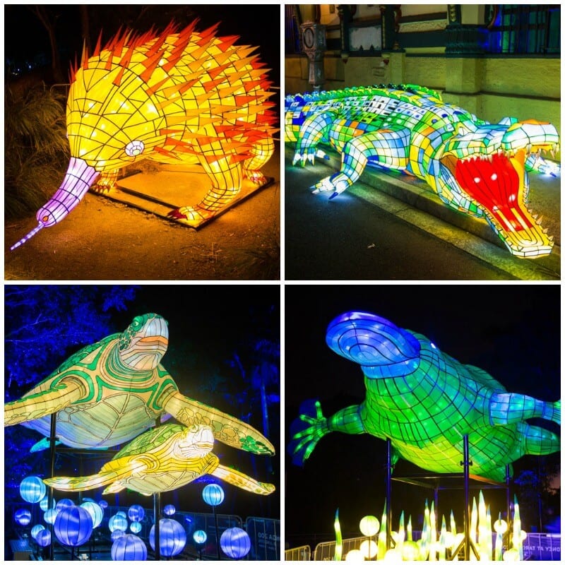 Taronga Zoo in Sydney during the Vivid Sydney Festival