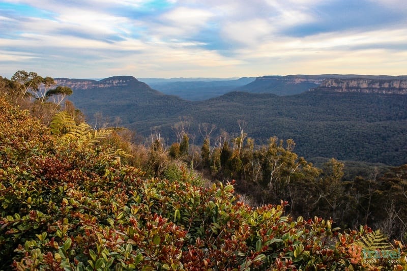 view of The Blue Mountains, NSW, Australia