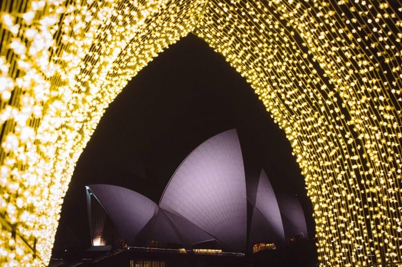 Sydney's Royal Botanic Gardens during the Vivid Sydney Festival