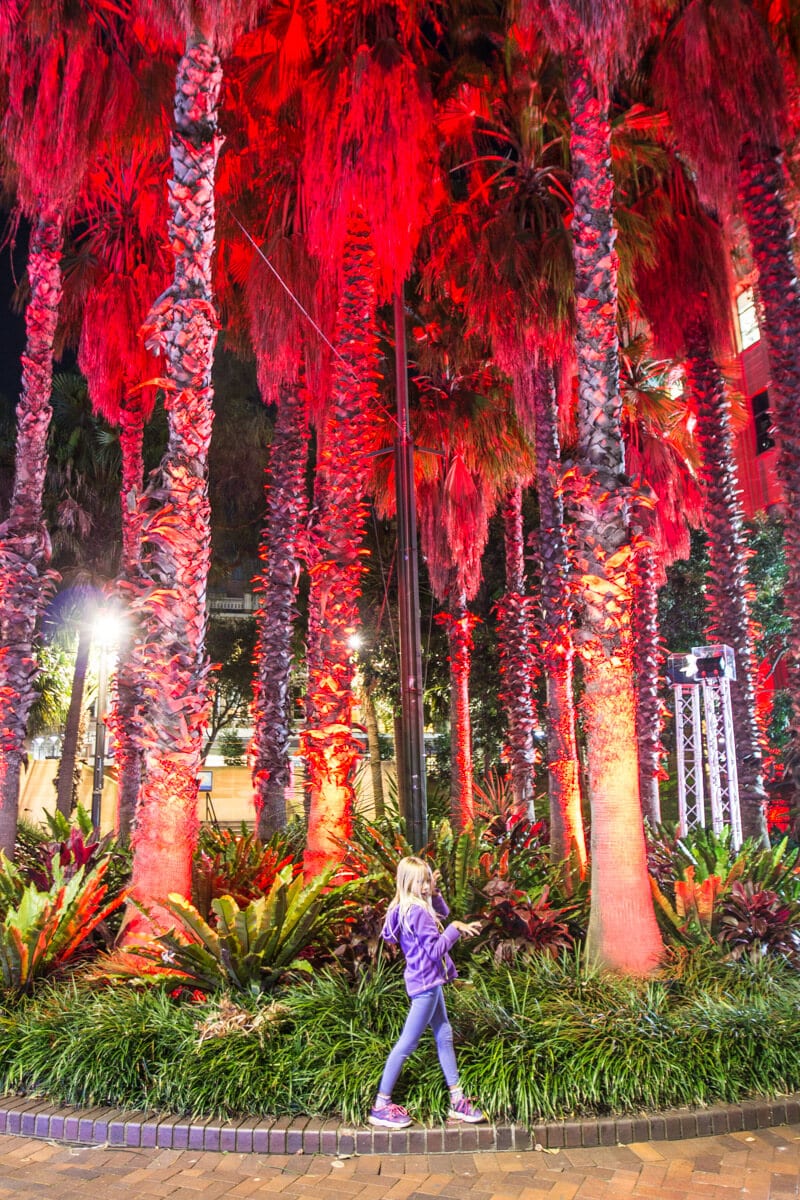 girl beside illuminated trees during vivid