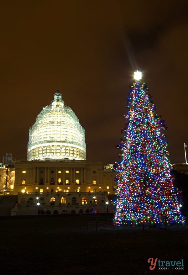 The Capital Building with christmas tree lit up at night