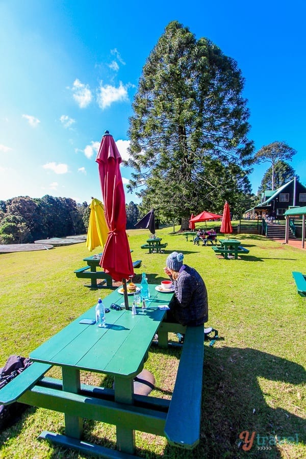 woman sitting at a table outside at Poppies Cafe in The Bunya Mountains, Queensland, Australia